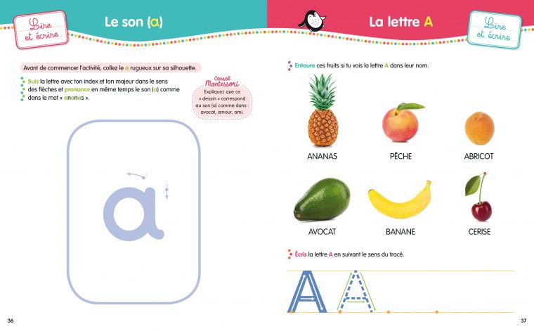 Montessori Mon Année De Moyenne Section | Hachette Education pour Activité Moyenne Section