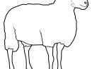 Mouton #2 (Animaux) – Coloriages À Imprimer tout Mouton À Colorier