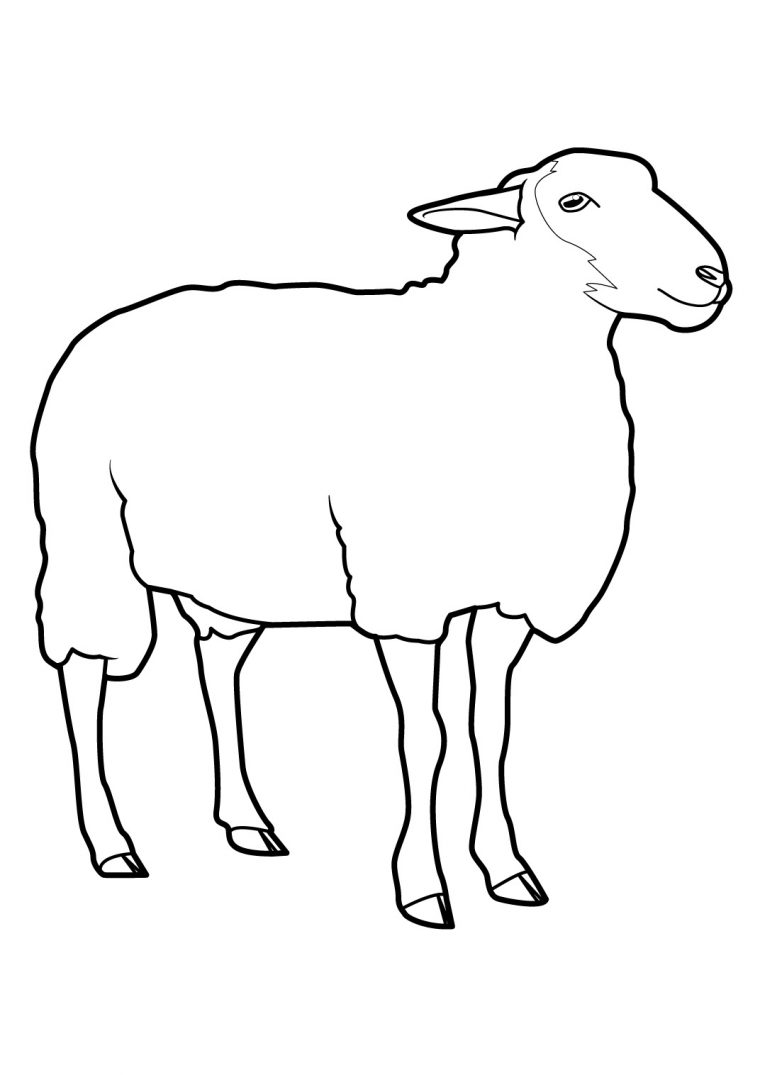 Mouton #2 (Animaux) – Coloriages À Imprimer tout Mouton À Colorier