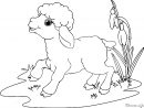 Mouton #29 (Animaux) – Coloriages À Imprimer concernant Mouton À Colorier