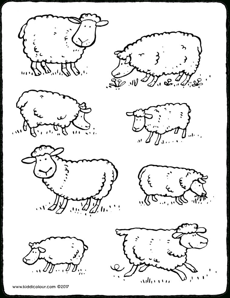 Moutons – Kiddicoloriage concernant Mouton À Colorier