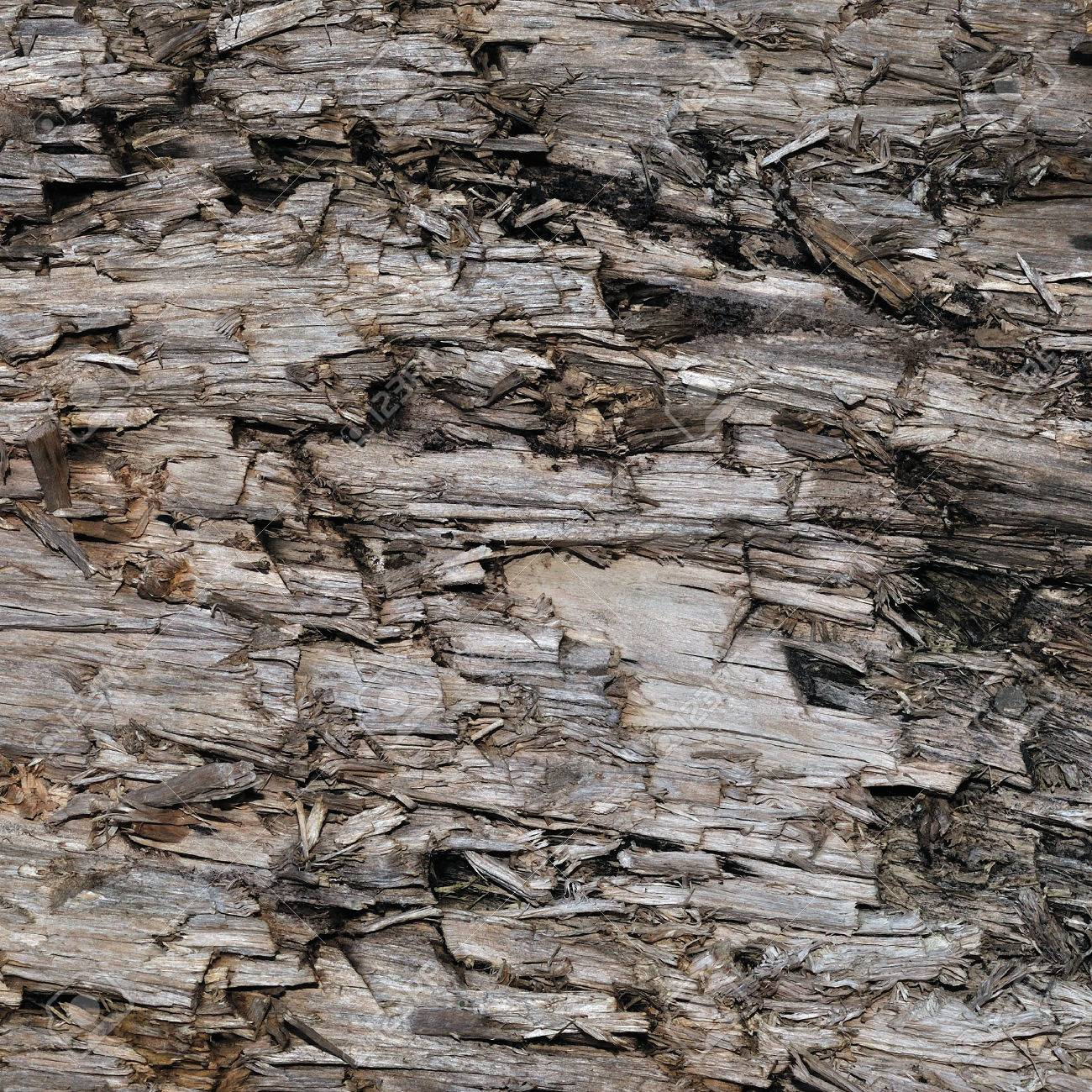 Natural Intempéries Gris Taupe Brown Cut Souche D&amp;#039;arbre Texture, Grand  Horizontal Détaillée Blessés Endommagé Vandalized Gris Lumber Wood  Background concernant Arbre A Taupe 