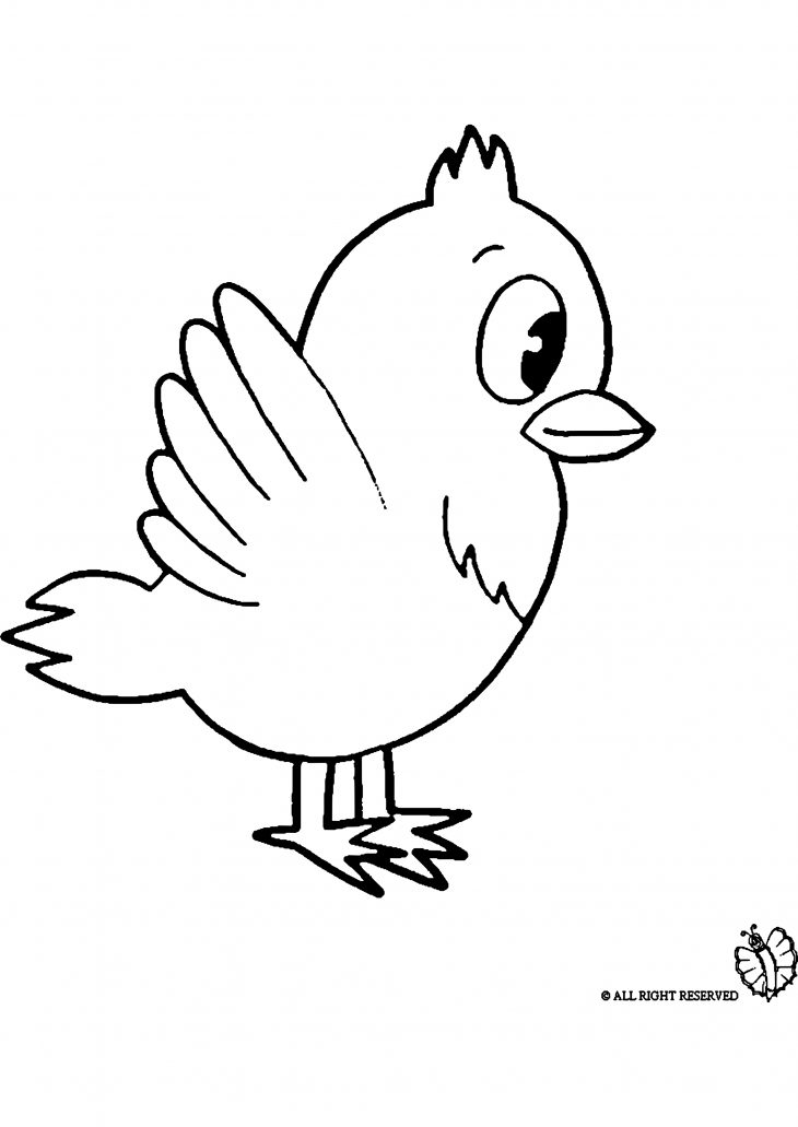 Oiseau Coloriage. Coloriage Duoiseau En Hiver. Coloriage encequiconcerne Jeux De Oiseau Gratuit