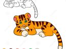 Page De Coloration Colorez-Moi : Tigre Petit Tigre De Bébé intérieur Coloriage Bébé Tigre