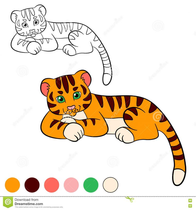 Page De Coloration Colorez-Moi : Tigre Petit Tigre De Bébé intérieur Coloriage Bébé Tigre