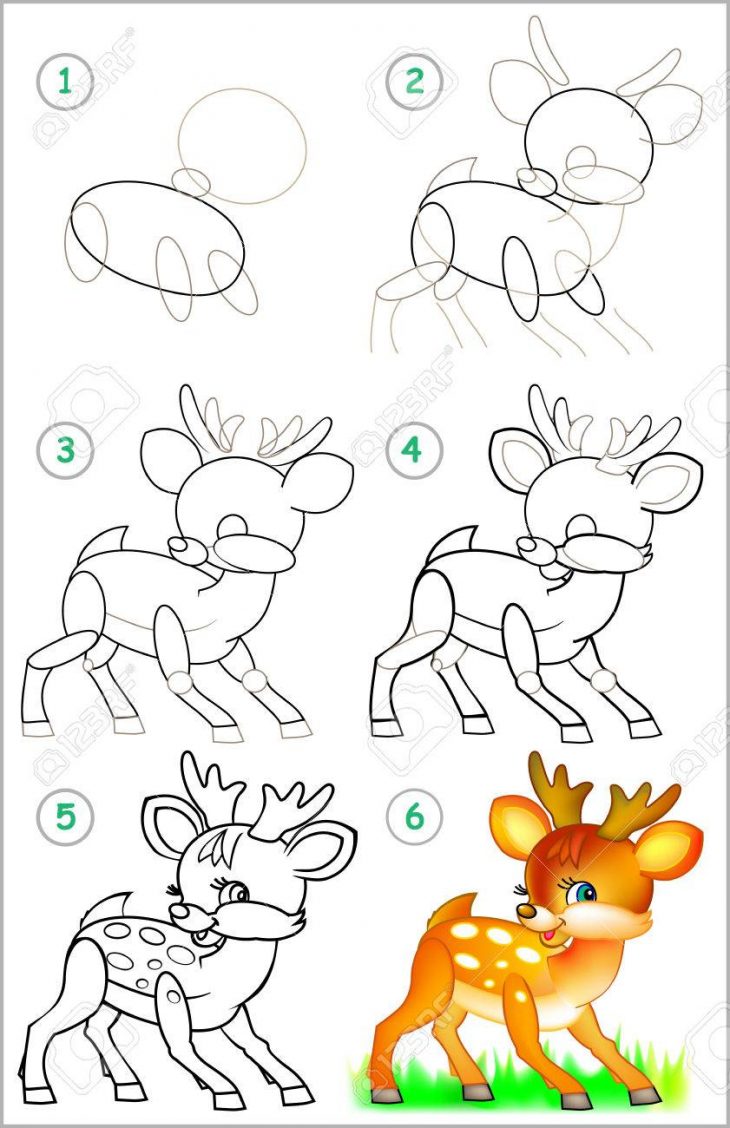 Page Montre Comment Apprendre Étape Par Étape Pour Dessiner Un Petit Faon.  Développer Des Compétences Pour Enfants Dessin Et De Coloriage. Image. dedans Faon Dessin