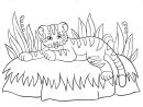 Pages De Coloration Animaux Sauvages Petits Sourires Mignons intérieur Coloriage Bébé Tigre