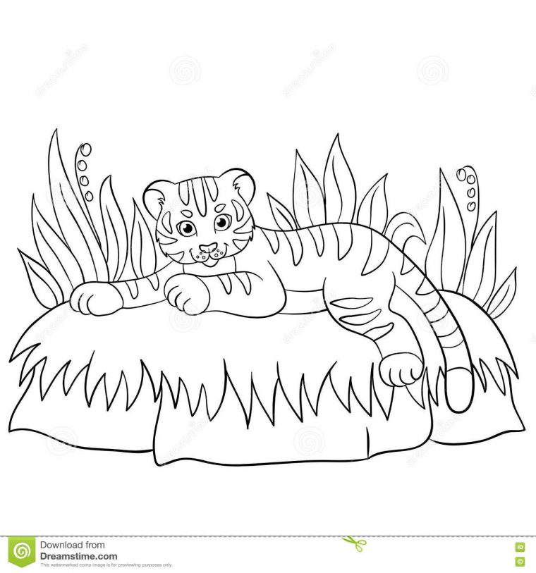 Pages De Coloration Animaux Sauvages Petits Sourires Mignons intérieur Coloriage Bébé Tigre