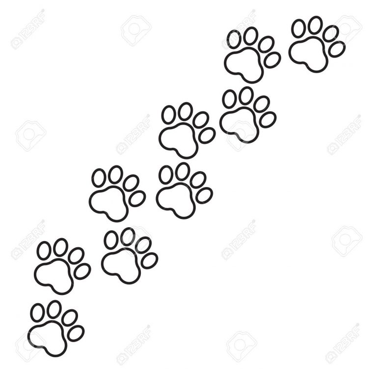 Paw Imprimer L'icône Du Vecteur En Ligne. Illustration De Pawprint Pour  Chien Ou Chat. Silhouette Des Animaux. tout Silhouette D Animaux À Imprimer