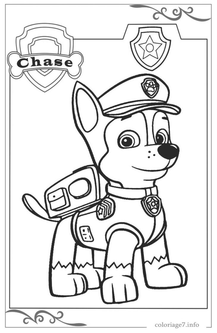 Paw Patrol : La Pat' Patrouille Coloriages Et Images dedans Dessins Gratuits À Télécharger