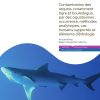 Pdf) Etat Des Connaissances Relatives À La Contamination Des tout Requin Souris
