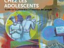 Pdf) Le Jeu Problématique Chez Les Adolescents : Guide Sur pour Jeu De Domino Gratuit Contre L Ordinateur