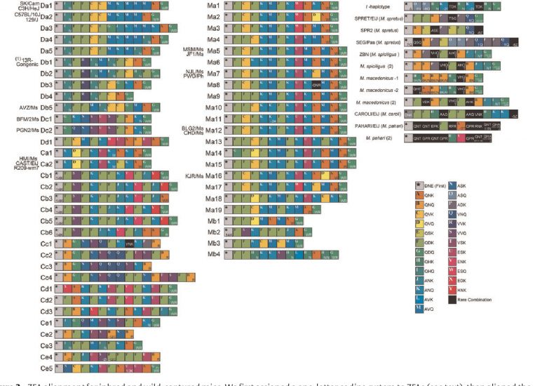 Pdf] Prdm9 Polymorphism Unveils Mouse Evolutionary Tracks tout Reproduction De Figures Ce1