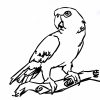 Perroquet #35 (Animaux) – Coloriages À Imprimer serapportantà Perroquet Coloriage A Imprimer
