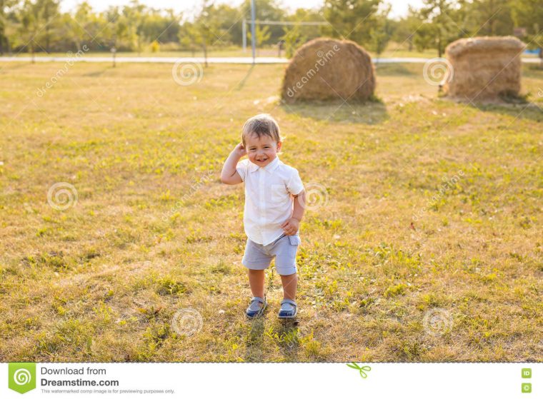 Petit Garçon Dans La Campagne Enfant En Bas Âge Jouant Les dedans Les Jeux De Petit Garcon