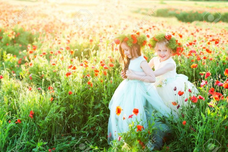 Petite Fille, Modèle, Mariage, Coquelicots, Conte De Fées, Printemps,  Concept – Jeu De Deux Filles En Robes Magnifiques Dans Un Champ Ensoleillé  De pour Jeux De Deux Fille