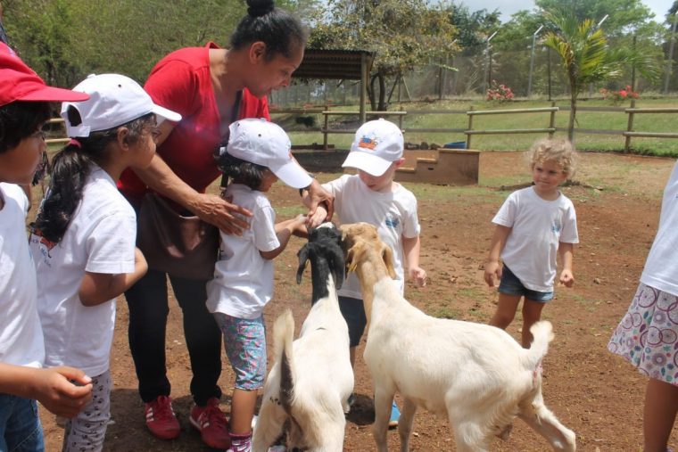 Photos & Vidéos – Page 3 tout Les Animaux De La Ferme Maternelle