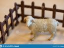 Plastic Toy Farm Animals In A Preschool Stock Photo - Image encequiconcerne Les Animaux De La Ferme Maternelle