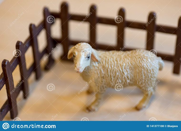 Plastic Toy Farm Animals In A Preschool Stock Photo – Image encequiconcerne Les Animaux De La Ferme Maternelle