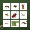 Play Imagier Des Insectes By Judy Lc - On Tinytap tout Imagier Insectes