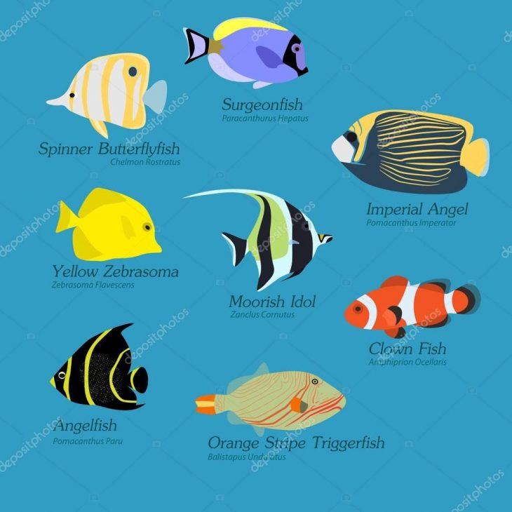 Poisson Jeux | Jeu De Poissons Exotiques Design Plat — Image encequiconcerne Jeux Du Poisson