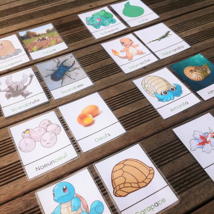 Pokémon : Un Jeu De Logique, De Lecture Et De Vocabulaire pour Jeux Ou Il Faut Retrouver Des Objets