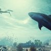 Preview Maneater, L'improbable Rpg Aux Commandes D'un Requin pour Tous Les Jeux De Requin