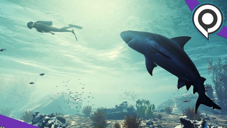 Preview Maneater, L'improbable Rpg Aux Commandes D'un Requin pour Tous Les Jeux De Requin