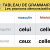 Pronoms Démonstratifs : Celui, Celle, Celles, Ceux pour Exercice Francais Facile