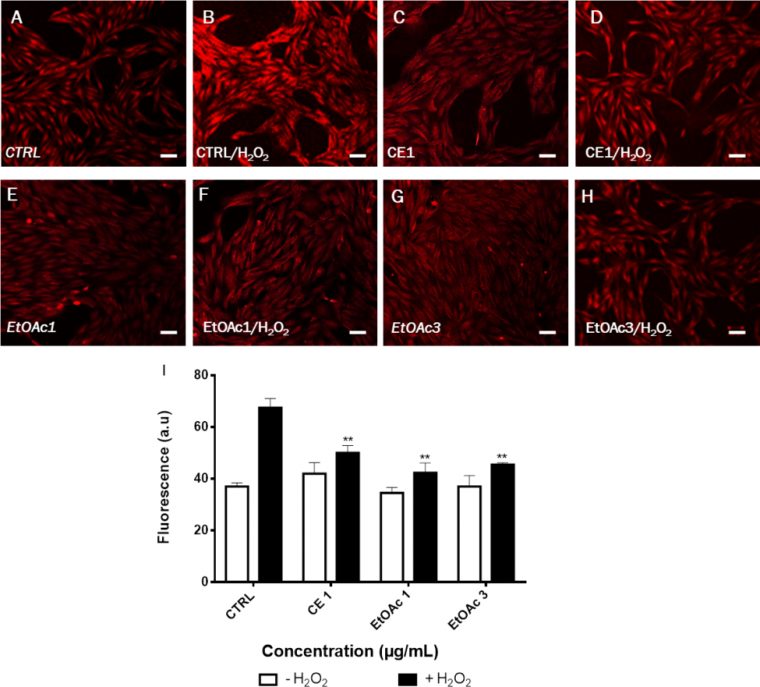 Protective Effect Of Rhus Coriaria Fruit Extracts Against destiné Reproduction De Figures Ce1