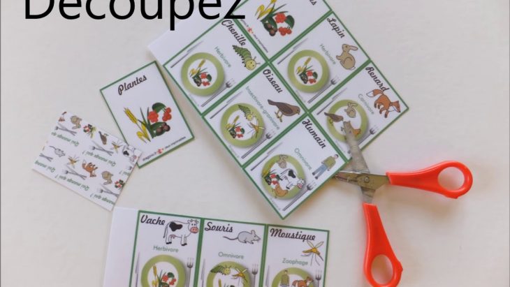 Qui Mange Qui ? Jeu De Cartes À Imprimer serapportantà Jeux De Manger Gratuit