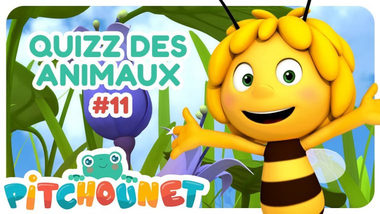 Quizz Des Animaux #11 | Dessin Animé Pour Enfant | Pitchounet pour Quizz Enfant