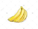 Régime De Bananes Couleur Croquis Dessiner Isolated Over dedans Dessiner Une Banane