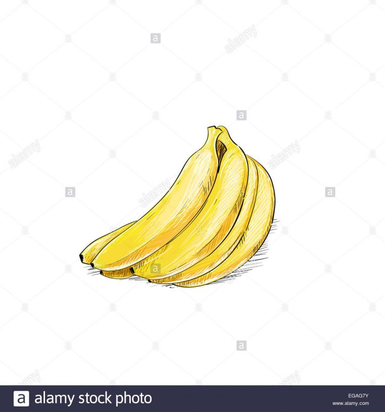 Régime De Bananes Couleur Croquis Dessiner Isolated Over dedans Dessiner Une Banane