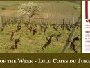 Shiverick Imports: Wine Of The Week - Lulu Côtes Du Jura 'bb1' à Lulu Impression