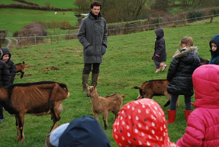 Solutré-Pouilly | Les Écoliers De Maternelle En Visite À La destiné Les Animaux De La Ferme Maternelle