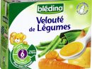 Soupe Bébé Blédiner 6 Mois, Légumes Blédina Blédina - Les 2 avec Brique Pour Bebe