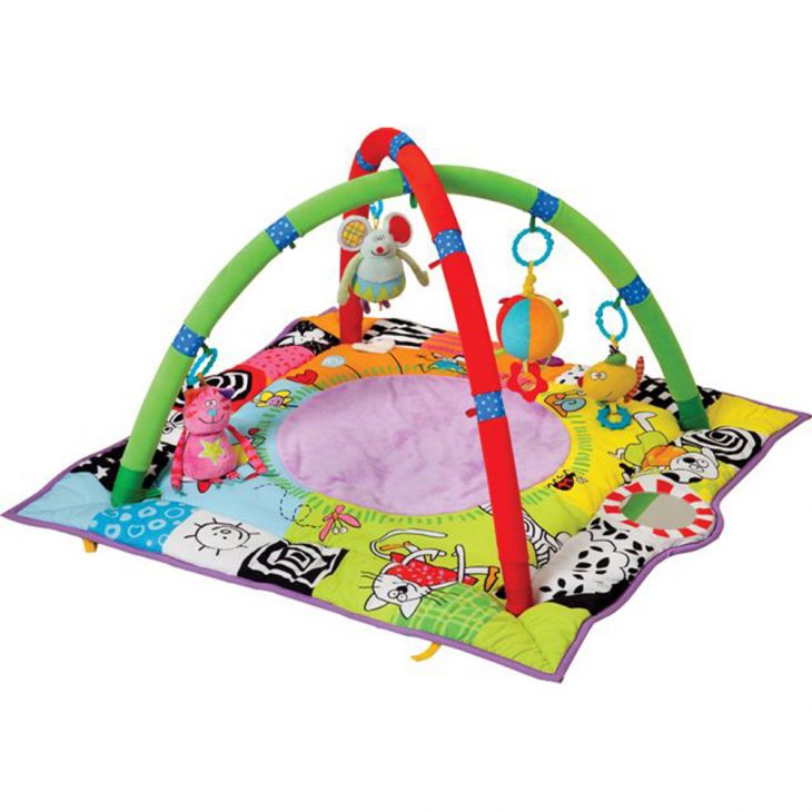 Tapis D'éveil Ma Première Aire De Jeux-(Taf Toys) dedans Jeu Eveil Bebe