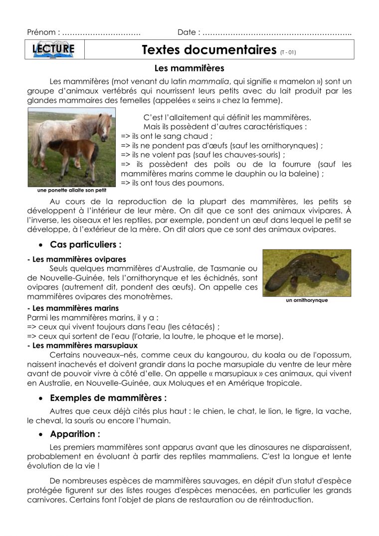 Tdt 01 concernant Animaux Ovipares Liste