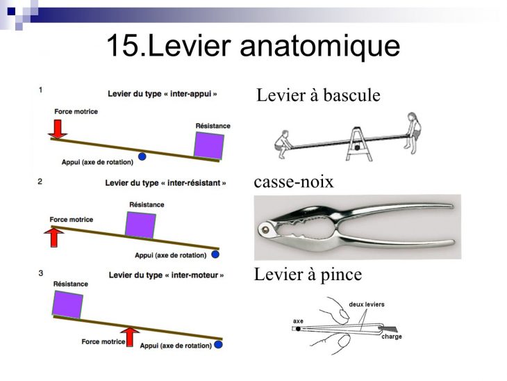 Test De Raisonnement Mécanique : Explications + Exemples intérieur Exercice De Logique Gratuit