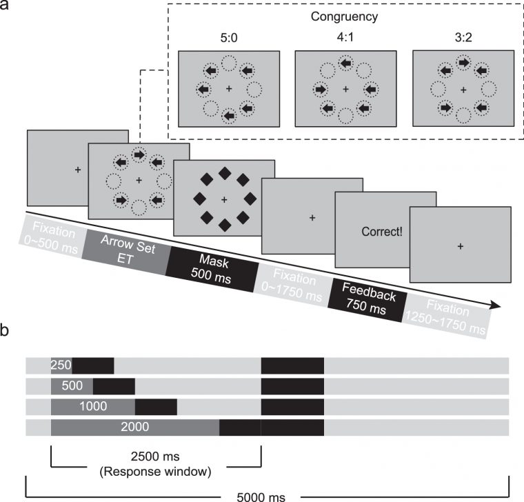 Testing A Cognitive Control Model Of Human Intelligence pour Qi Devine Le Mot