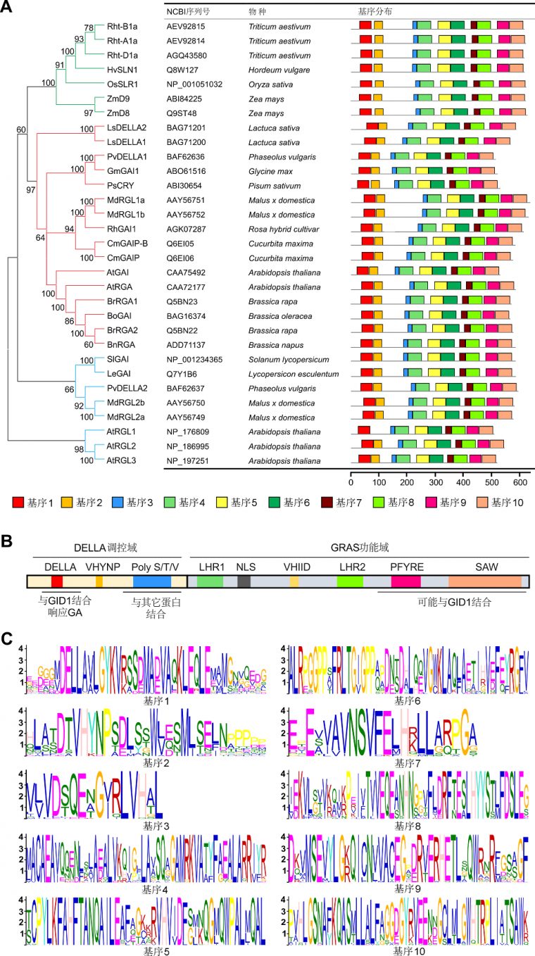 The Role Of Della Proteins In Ual Reproduction Of Angiosperms intérieur Reproduction De Figures Ce1