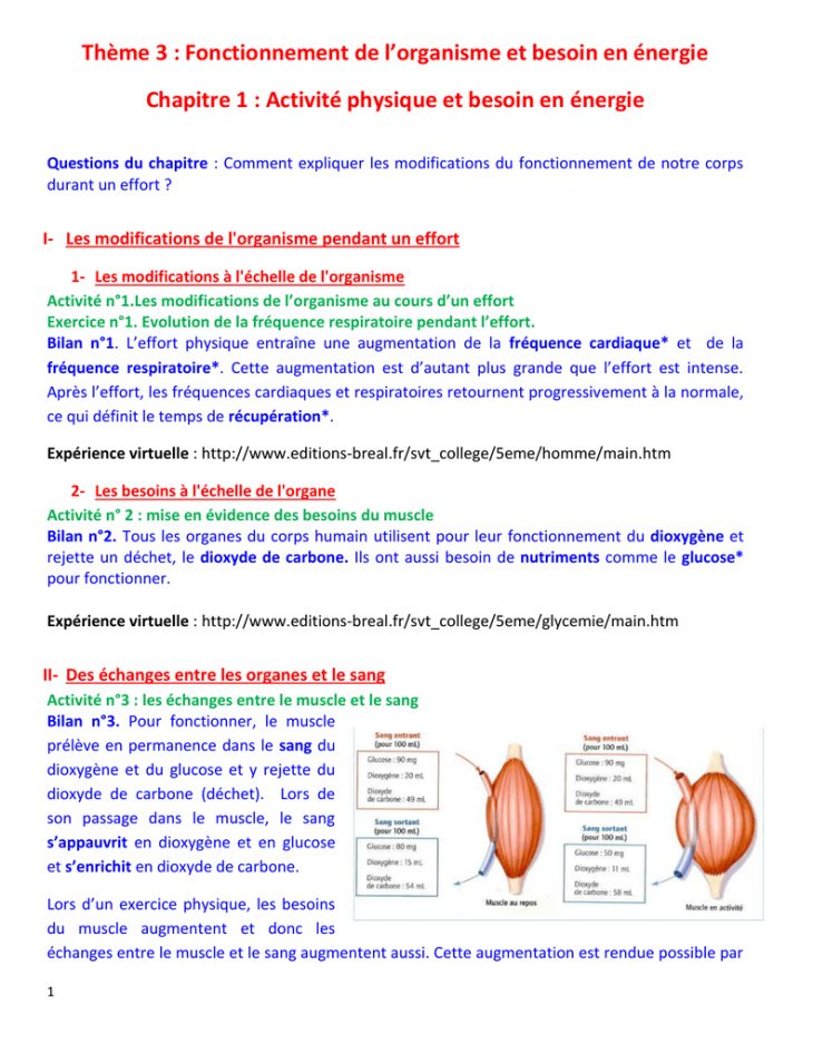 Thème 3 : Fonctionnement De L`organisme Et Besoin En Énergie à Activité Corps Humain