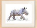 Tirage-Art-Reproduction-Dessin-Rhino-Bebe - Stéphane Alsac pour Image De Dessin A Reproduire