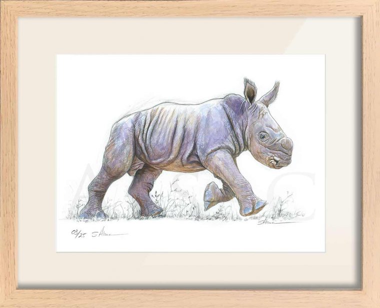 Tirage-Art-Reproduction-Dessin-Rhino-Bebe – Stéphane Alsac pour Image De Dessin A Reproduire