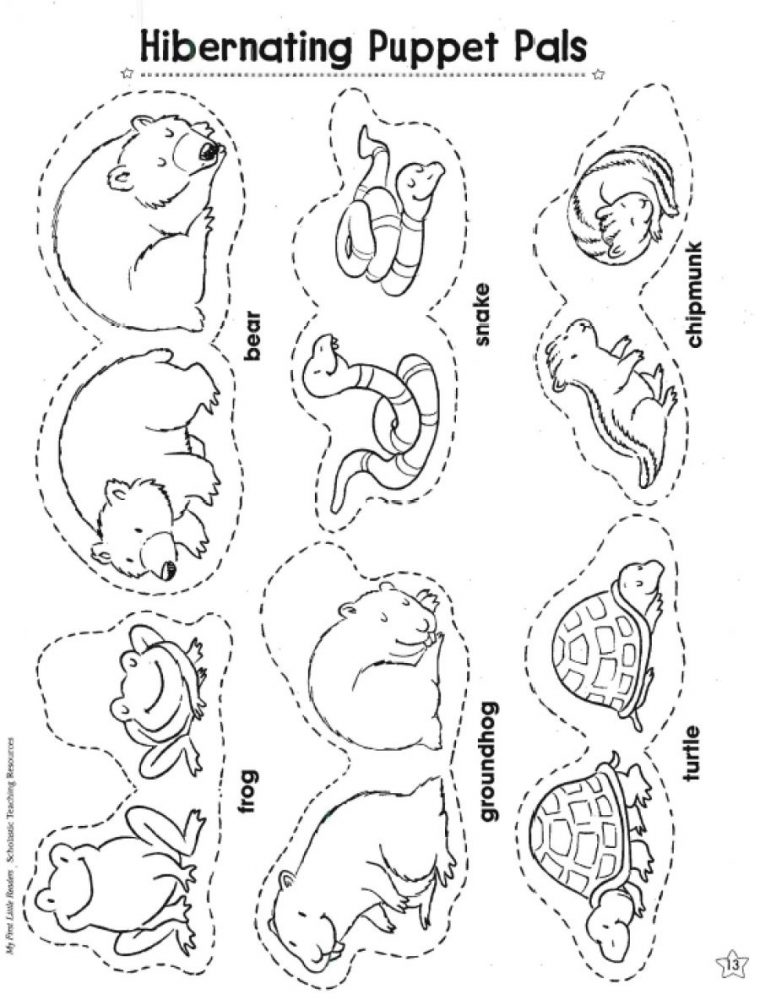 Title} (Avec Images) | Animaux Qui Hibernent, Habitat Des serapportantà Animaux Qui Hivernent