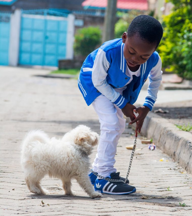 Top 18 Des Meilleurs Chiens De Compagnie Pour Vos Enfants destiné Jeux Animaux Pour Fille