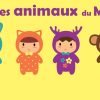 Tous Les Animaux Du Monde 🐘 (Faune, Ferme, Jungle, Domestique) Ⓓⓔⓥⓐ  Apprendre Aux Enfants tout Animaux De La Jungle Maternelle