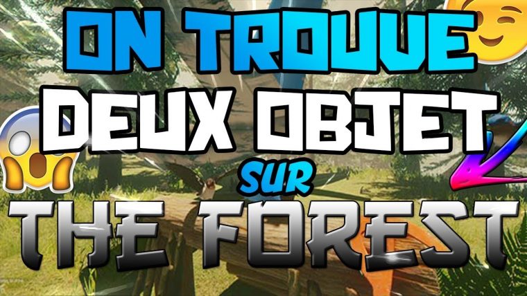 Trouver 2 Objet Utile Pour La Fin Du Jeux #3 [The Forest] (Ft.john Palmer) avec Jeux Trouver Objet