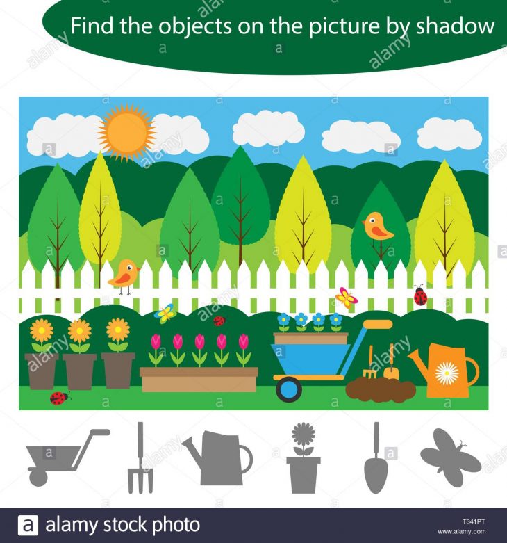 Trouver Des Objets Par L'ombre, Jeu Pour Les Enfants Dans Le intérieur Jeux Trouver Les Objets